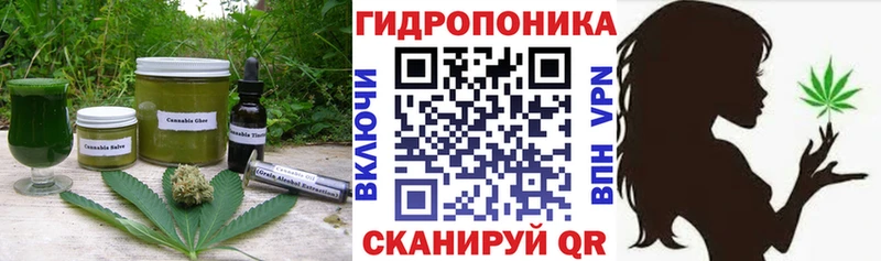 Canna-Cookies конопля  omg ссылка  Дорогобуж  дарнет шоп 