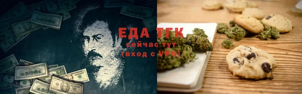 прущие грибы Новый Уренгой