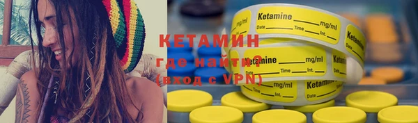 прущие грибы Новый Уренгой