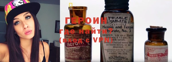 прущие грибы Новый Уренгой