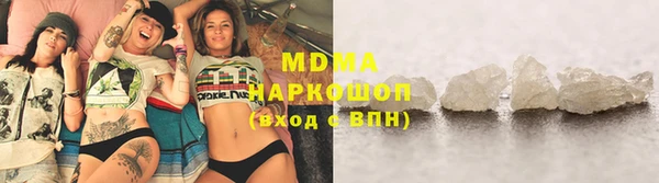прущие грибы Новый Уренгой
