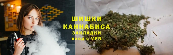 apvp Гусев