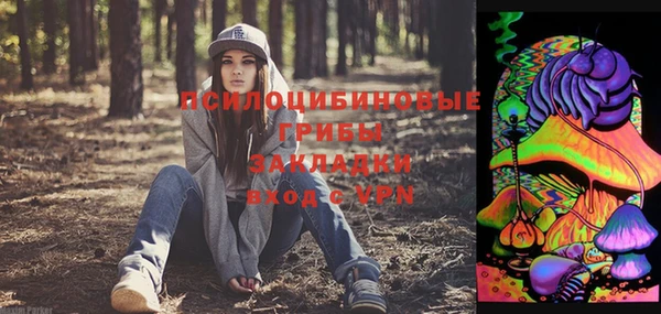крисы Долгопрудный