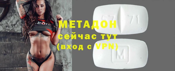 прущие грибы Новый Уренгой