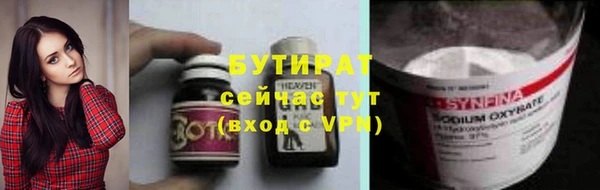прущие грибы Новый Уренгой