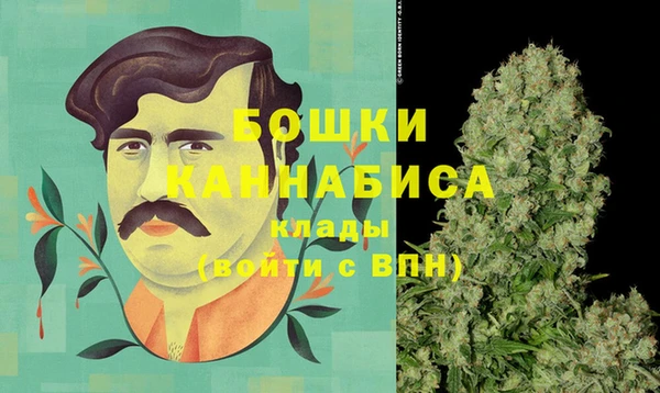 крисы Долгопрудный