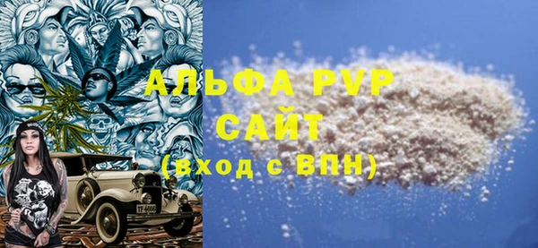 прущие грибы Новый Уренгой
