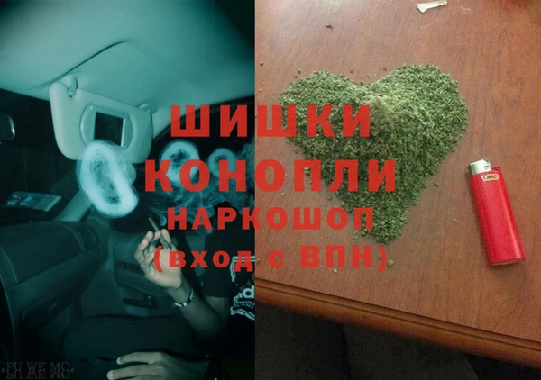 прущие грибы Новый Уренгой