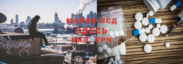 прущие грибы Новый Уренгой