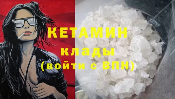 прущие грибы Новый Уренгой