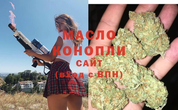 прущие грибы Новый Уренгой