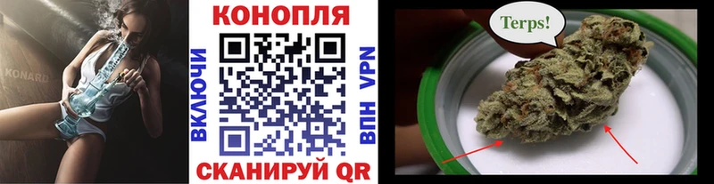 Марихуана OG Kush что такое наркотик Дорогобуж